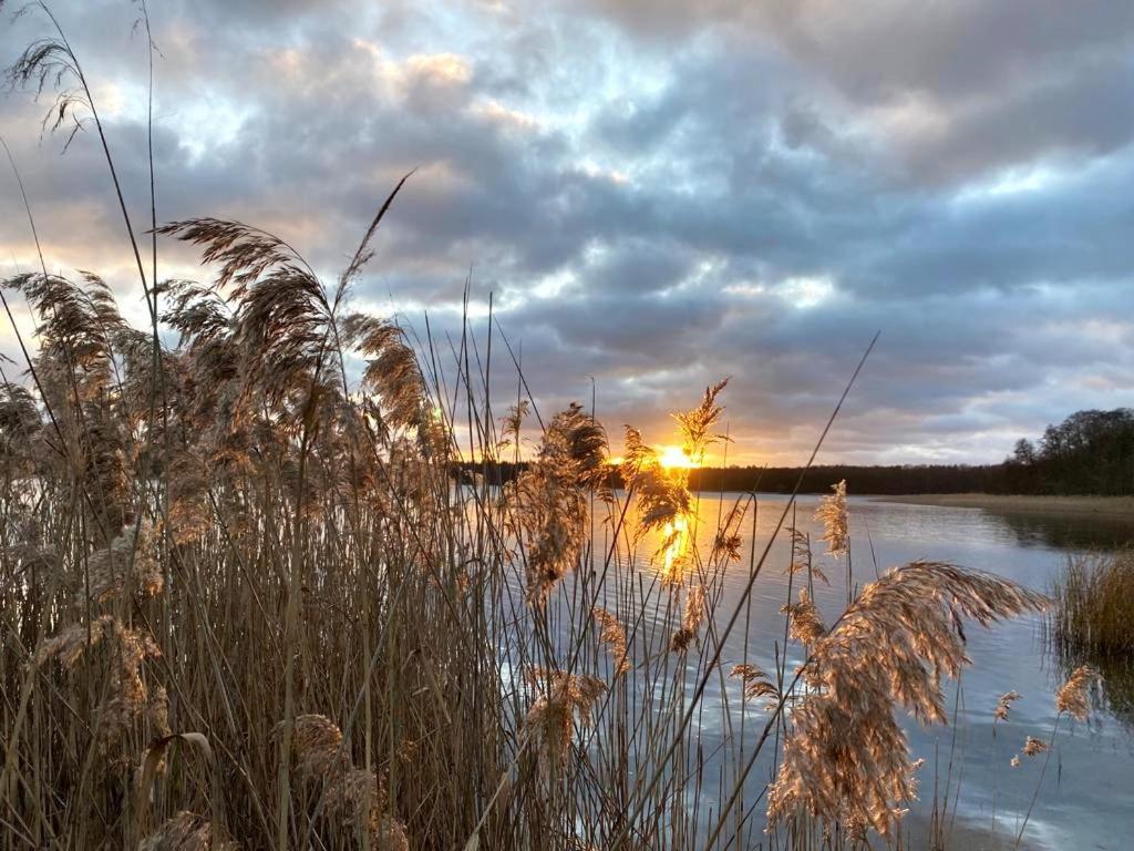 Ferienhaus Direkt Am See Uckermark Templin Buitenkant foto
