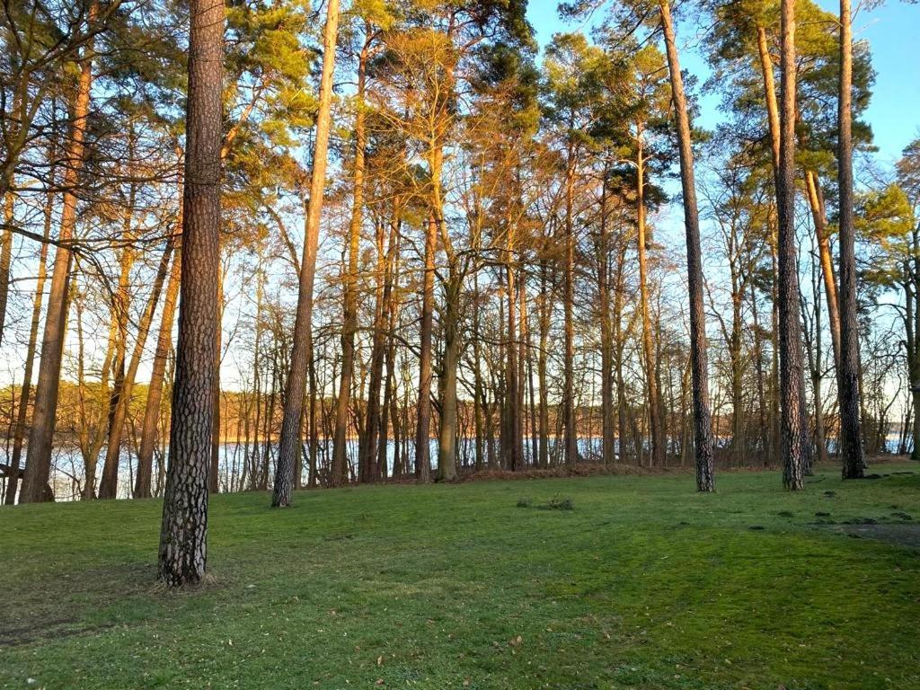 Ferienhaus Direkt Am See Uckermark Templin Buitenkant foto
